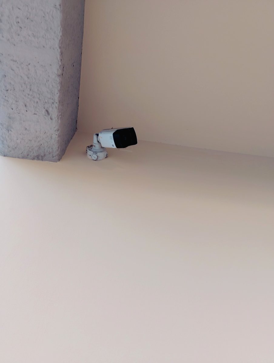 Telecamera di videosorveglianza professionale